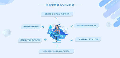 電商行業CRM云客服管理系統選哪家？紫鳥云客服——互聯網信息技術服務的卓越選擇